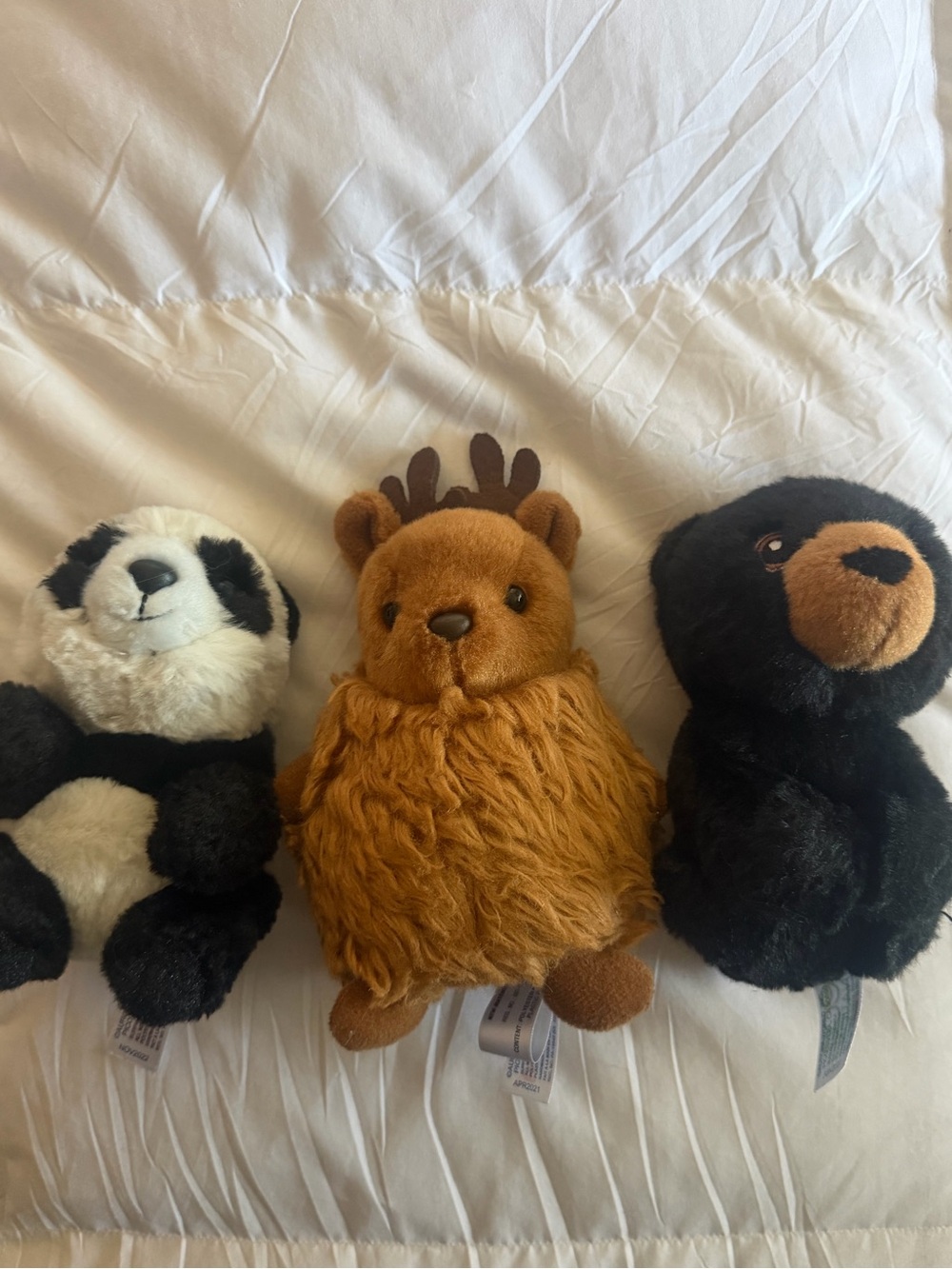 Bundle of 3 collectible aurora plushies - mini